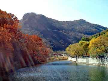 新澳门二四六天天彩，波峰焊配件